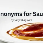 Synonyms for Sauce