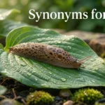 Synonyms for Slug