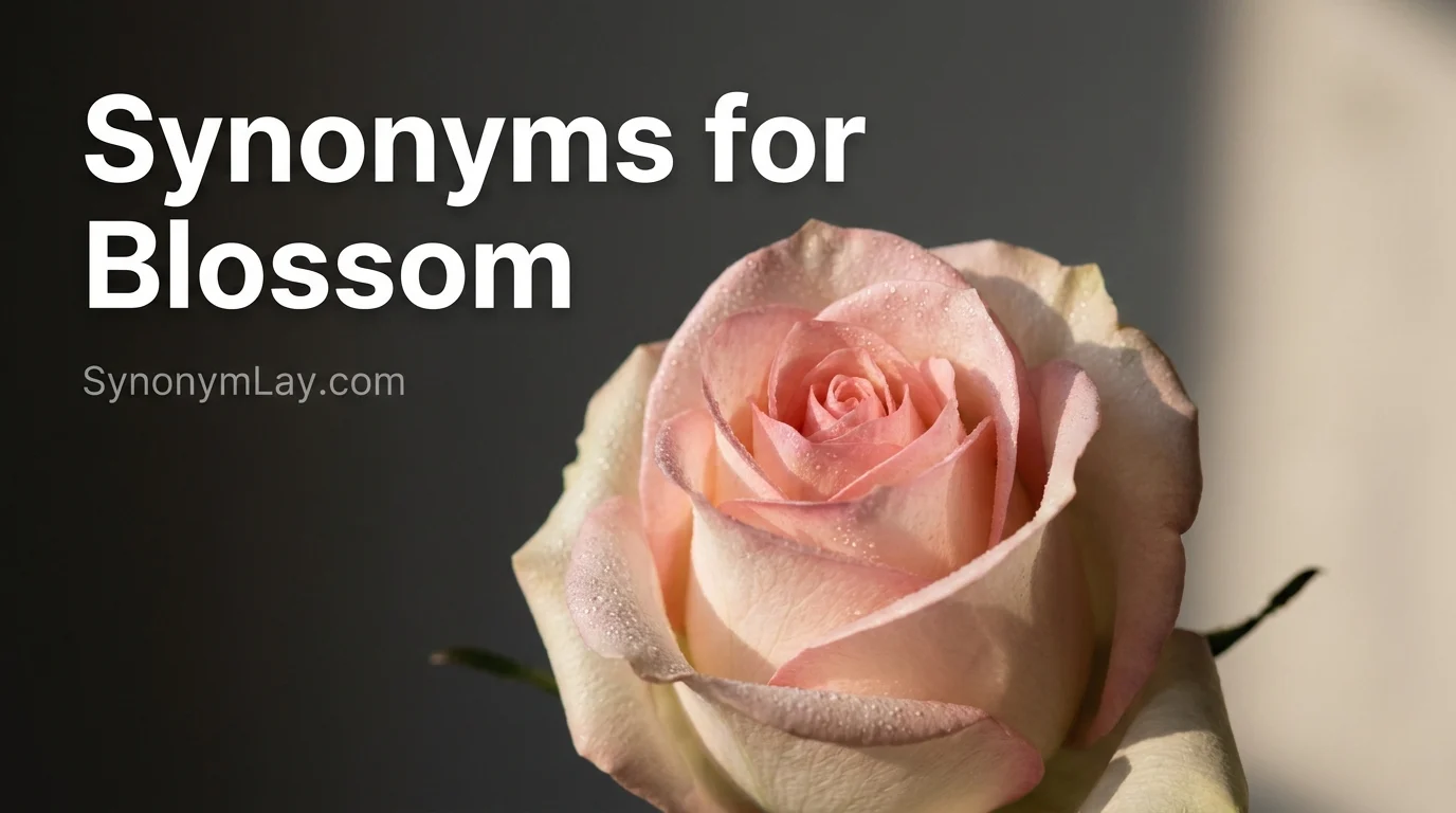 Synonyms for Blossom