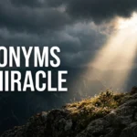 Synonyms of Miracle